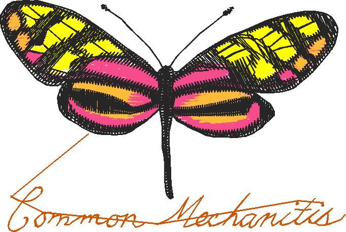 Butterflies 3  (1)