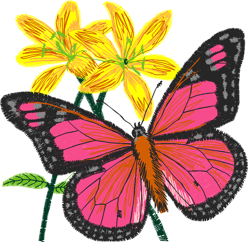 Butterflies 5  (8)