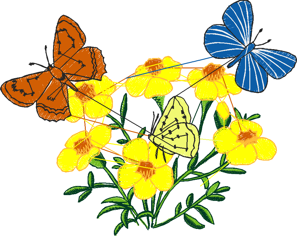 Butterflies 6  (10)