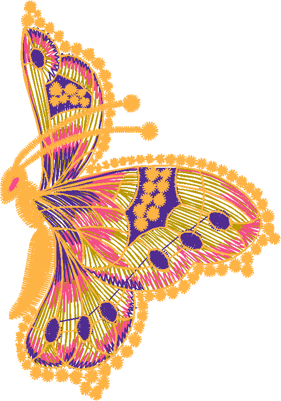 Butterflies 8  (24)