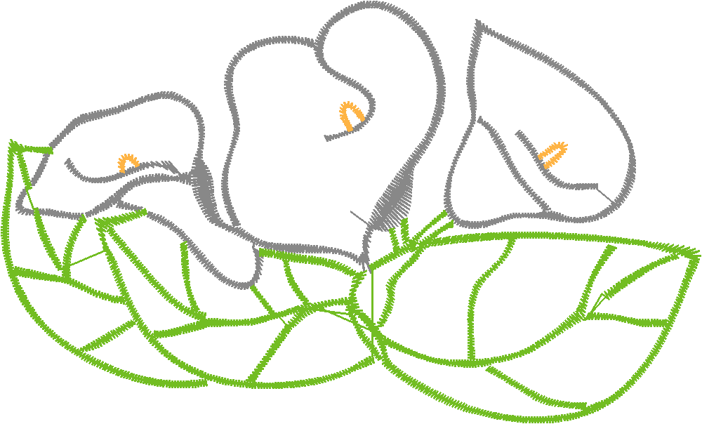 Cala Lillies 2  (6)