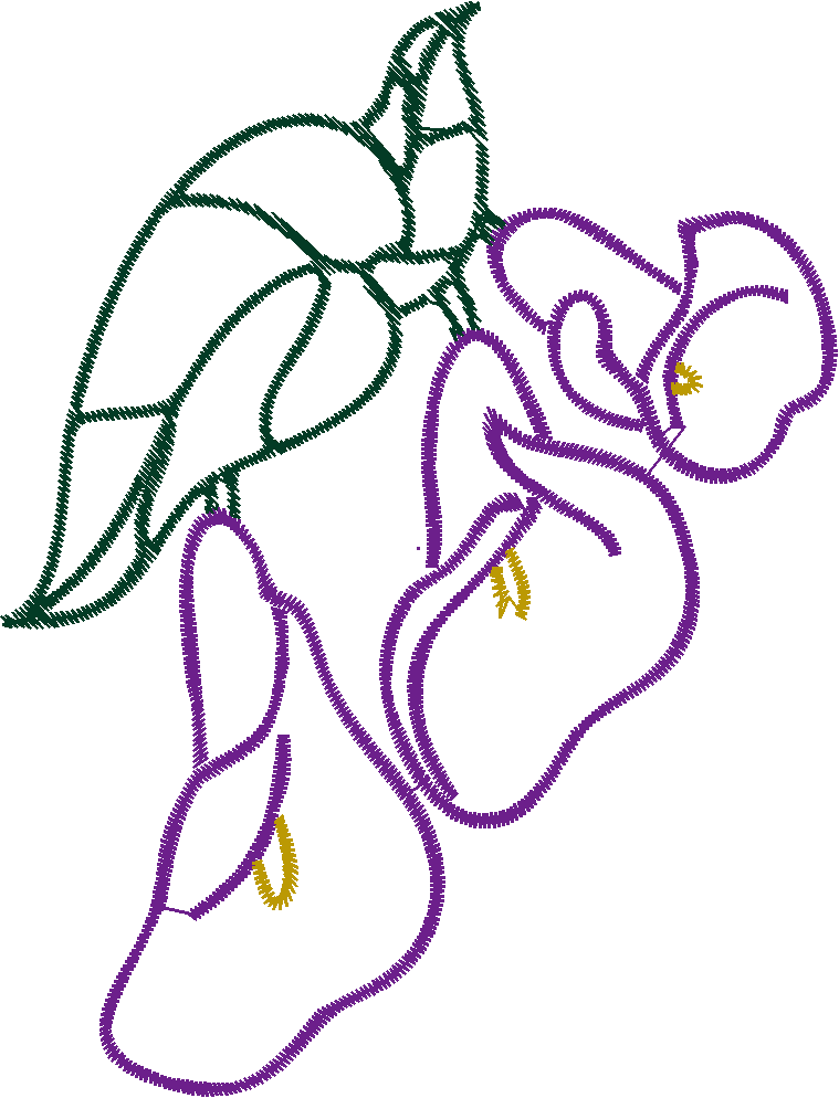Cala Lillies 2  (8)