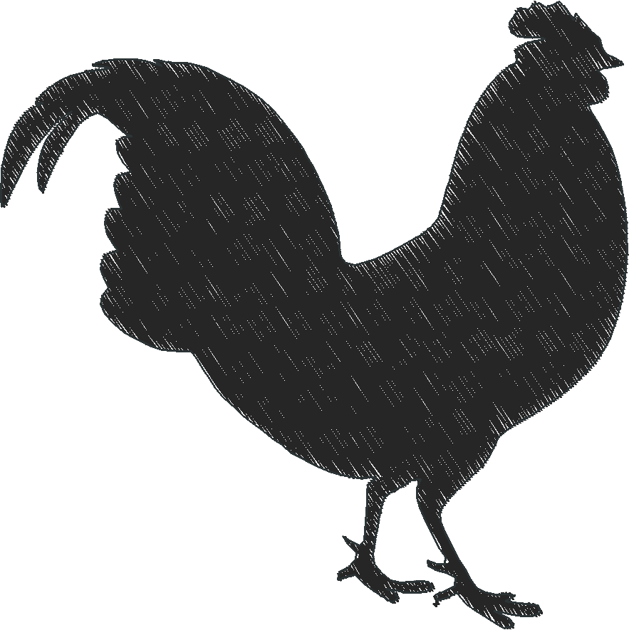 Chickens 2 (6)