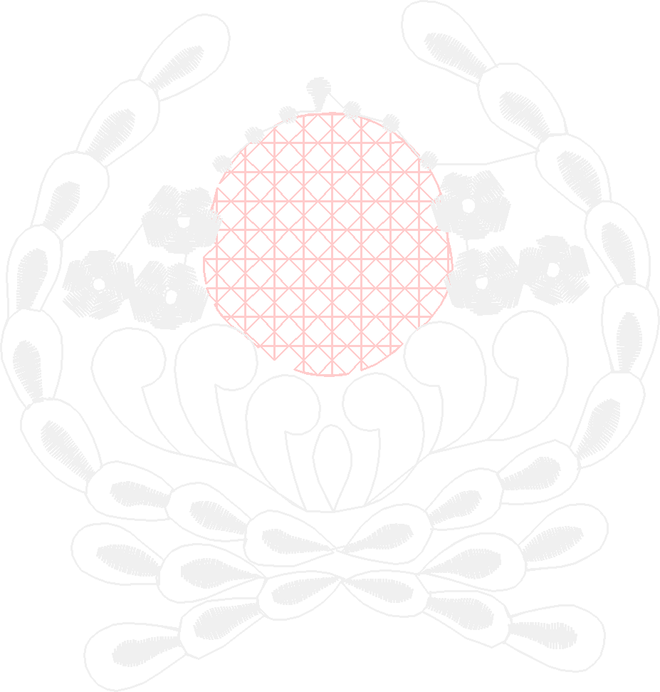 Bernina015