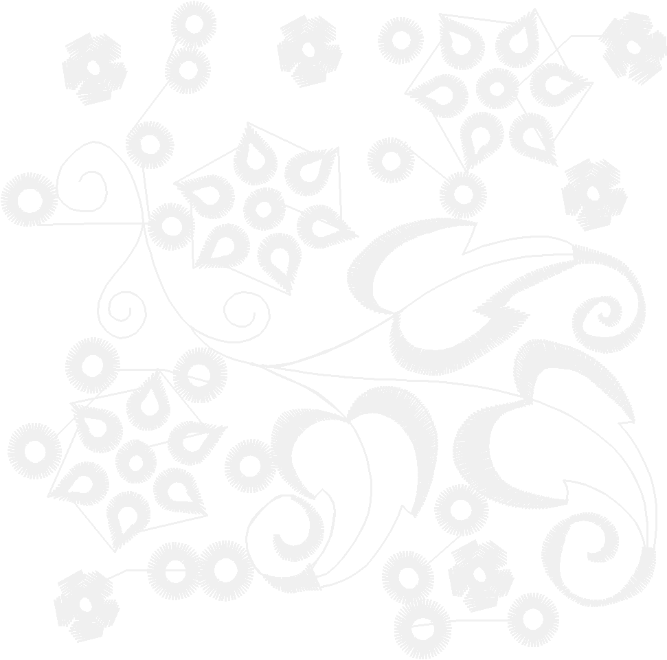 Bernina017