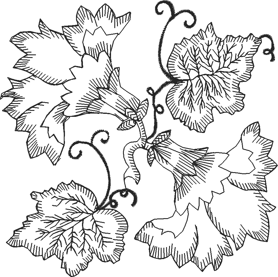 Bernina029