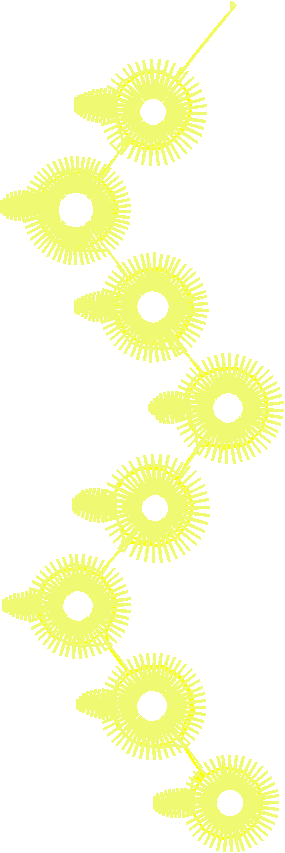 Des48113