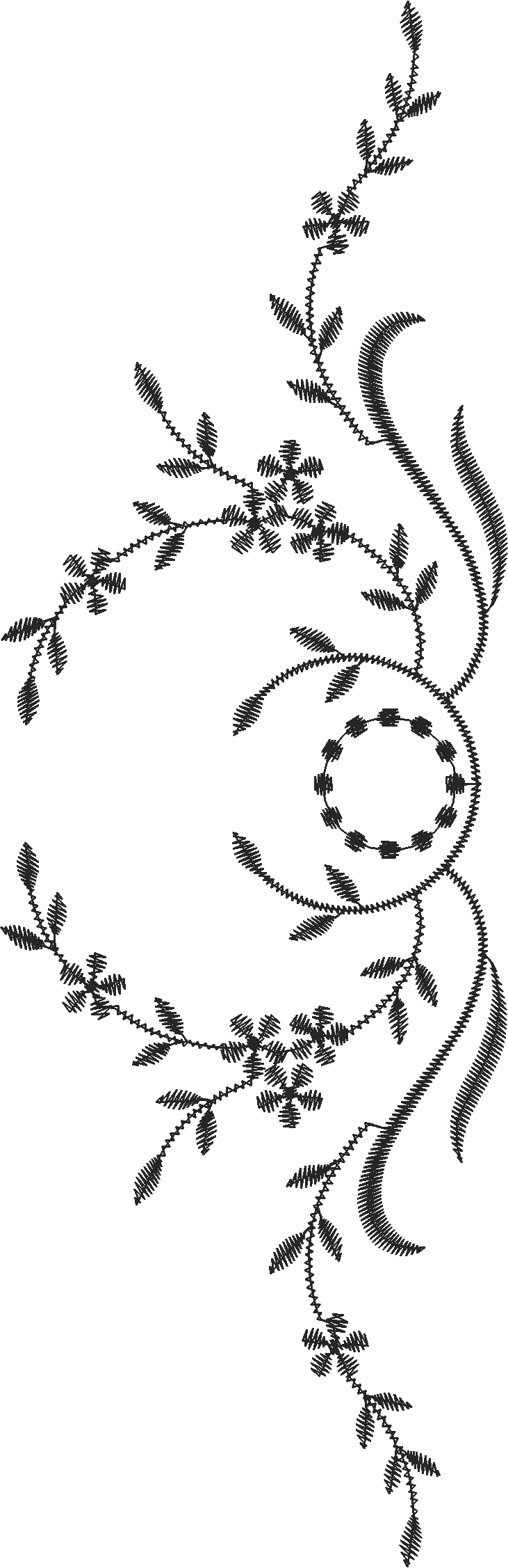 Qhl05041