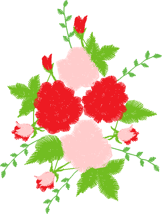 Rose A16