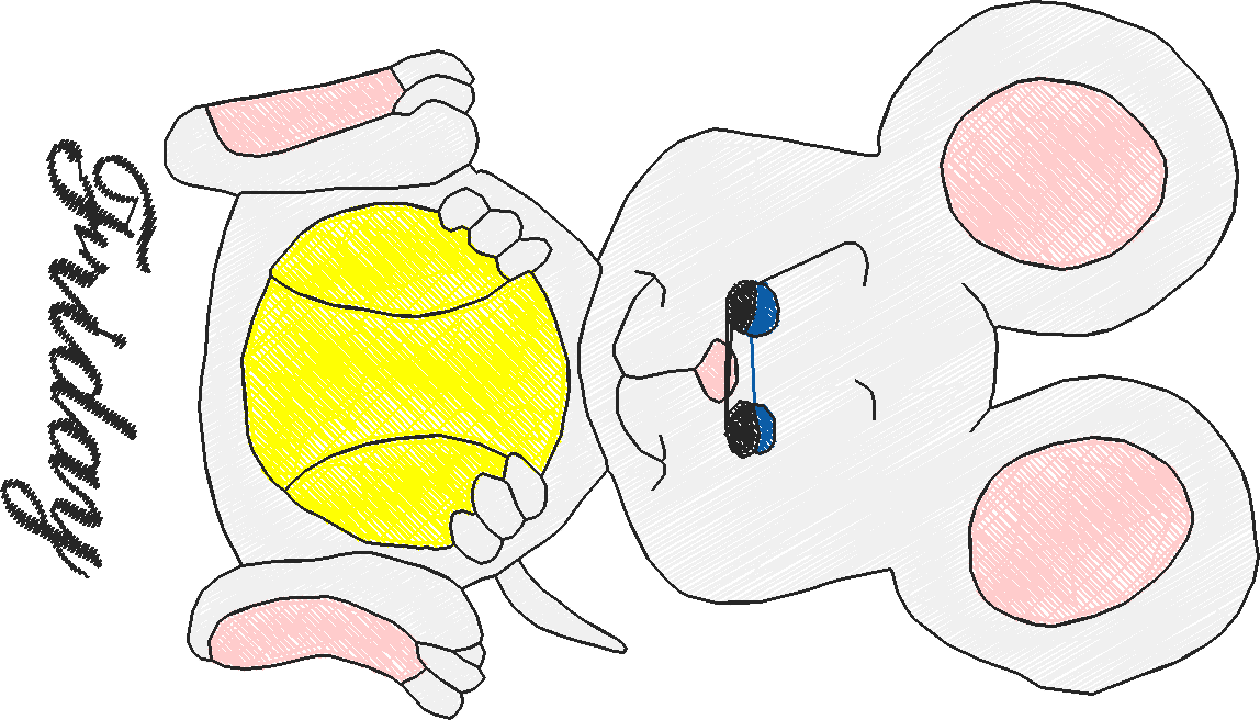 Days Of The Week   Mouse  (1)