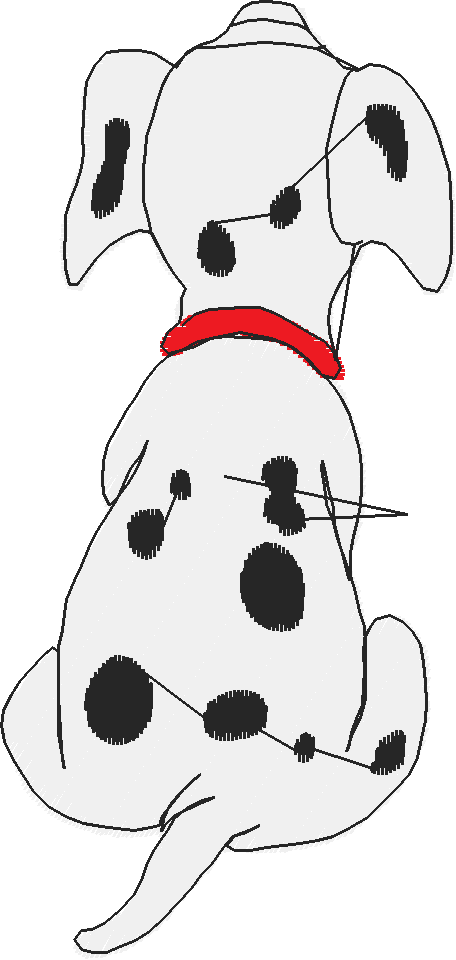 No31
