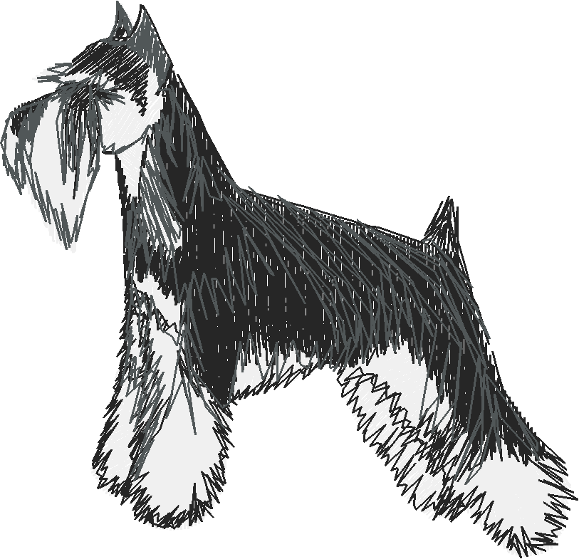 Dogs 1  (12)
