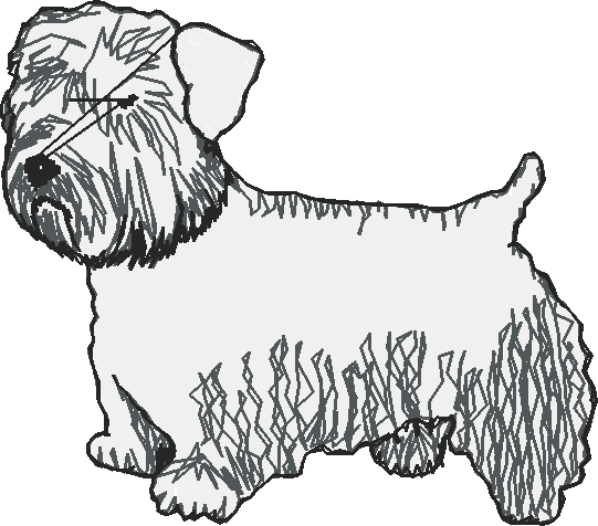 Dogs 1  (26)