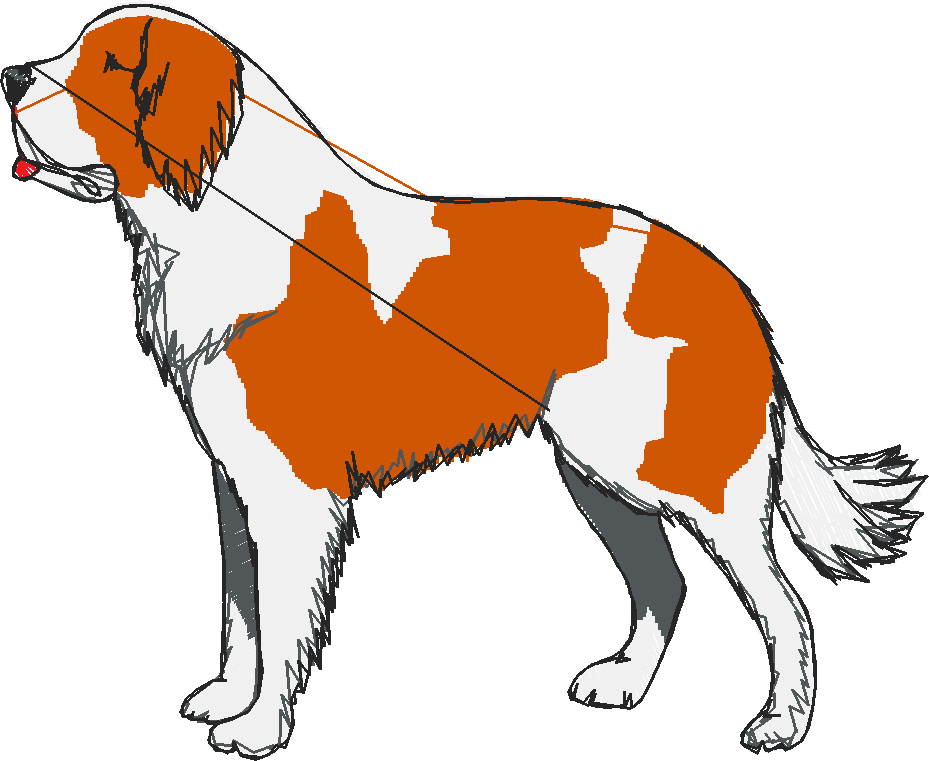 Dogs 1  (37)