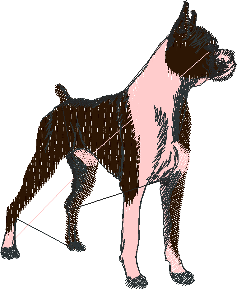 Dogs 1  (4)
