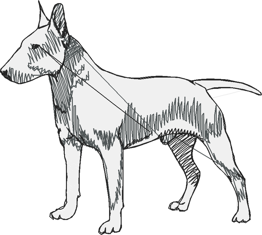 Dogs 1  (40)