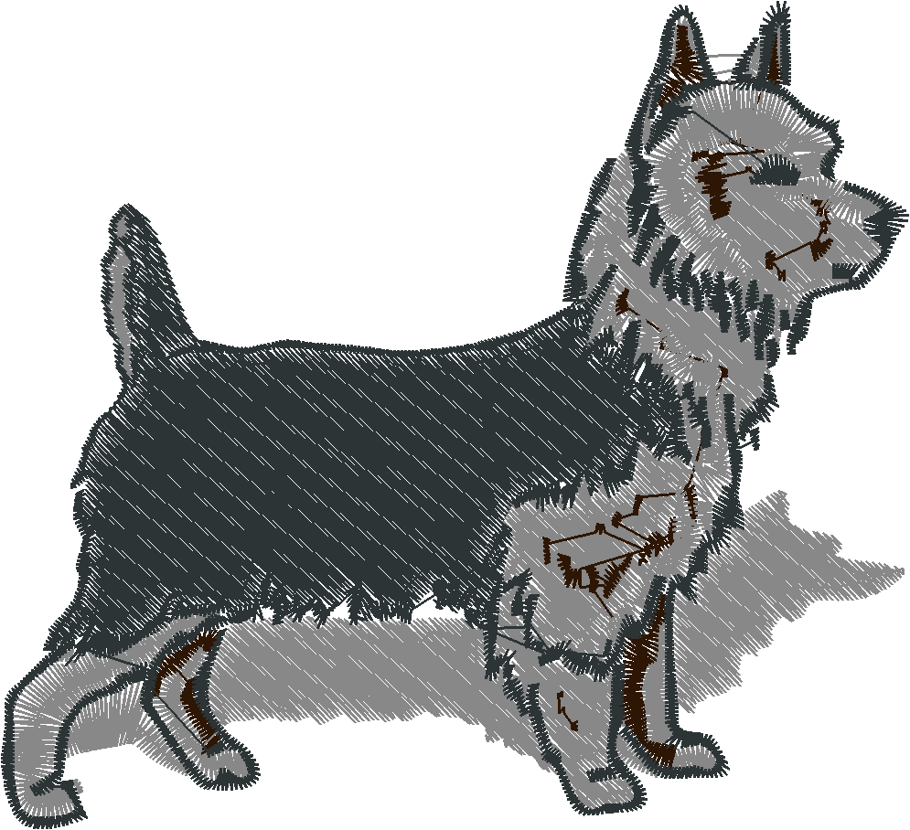 Dogs 11  (2)
