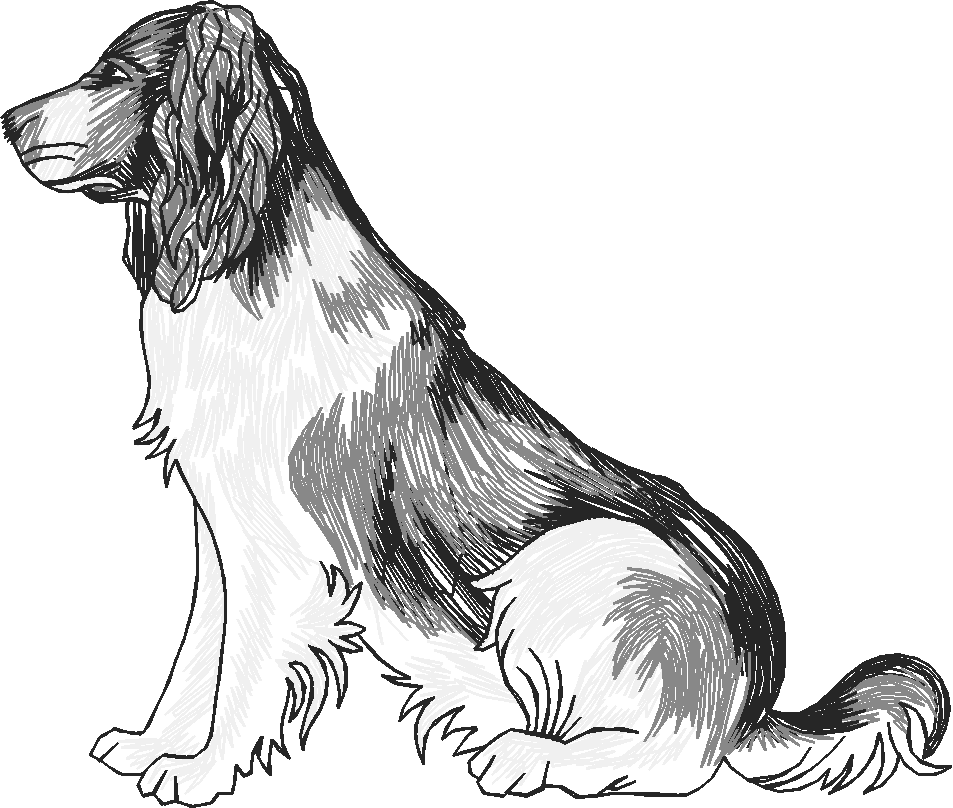Dogs 13  (10)