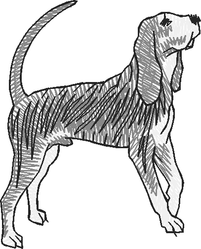 Dogs 13  (14)