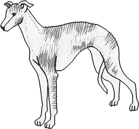 Dogs 13  (2)