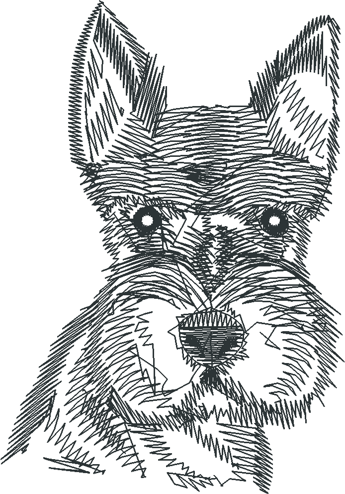 Dogs 14  (16)