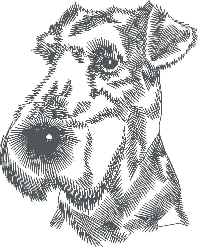 Dogs 14  (17)