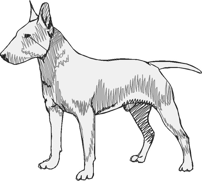 Dogs 15  (20)