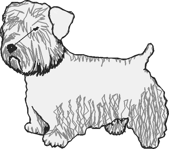 Dogs 15  (6)