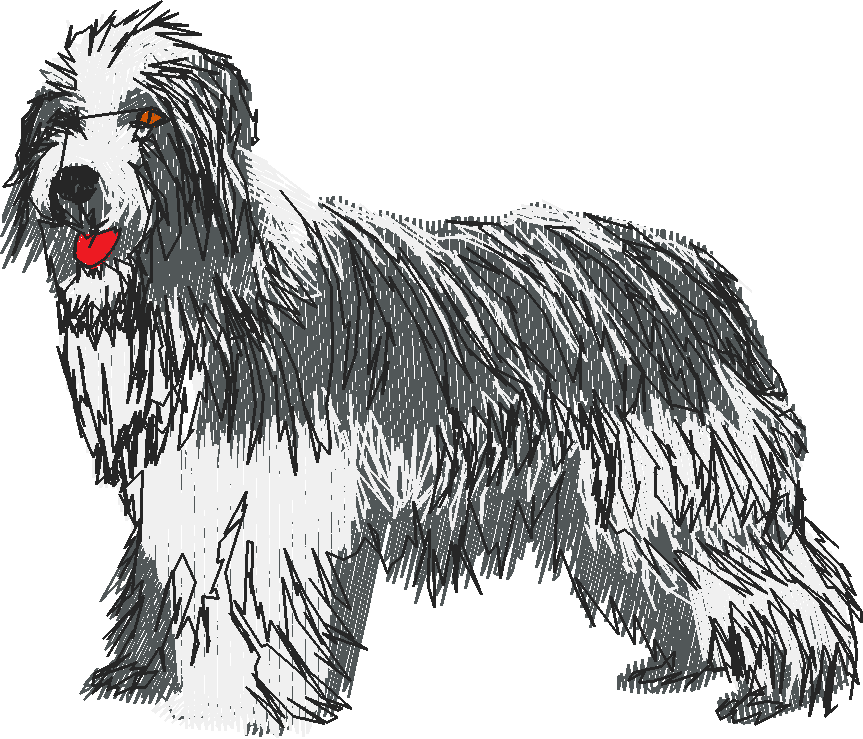 Dogs 16  (2)