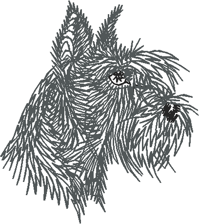 Dogs 19  (11)