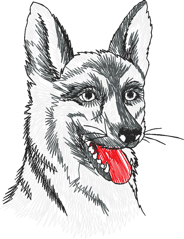 Dogs 19  (5)