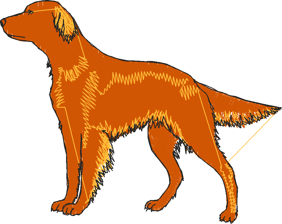 Dogs 2  (15)
