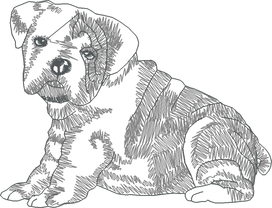 Dogs 23  (16)