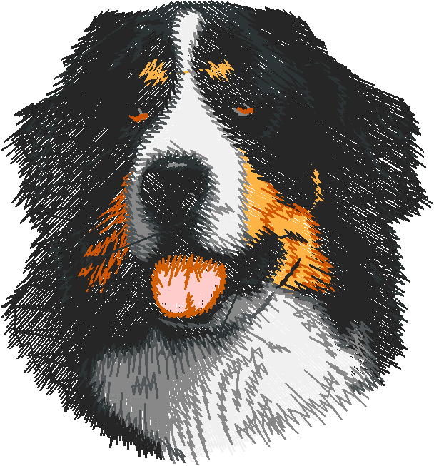 Dogs 5  (45)