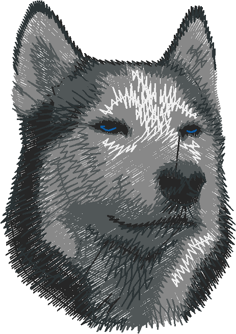 Dogs 5  (52)