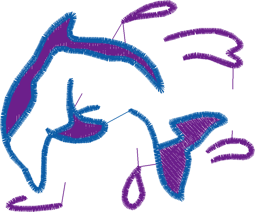 Dolphins 5  (10)