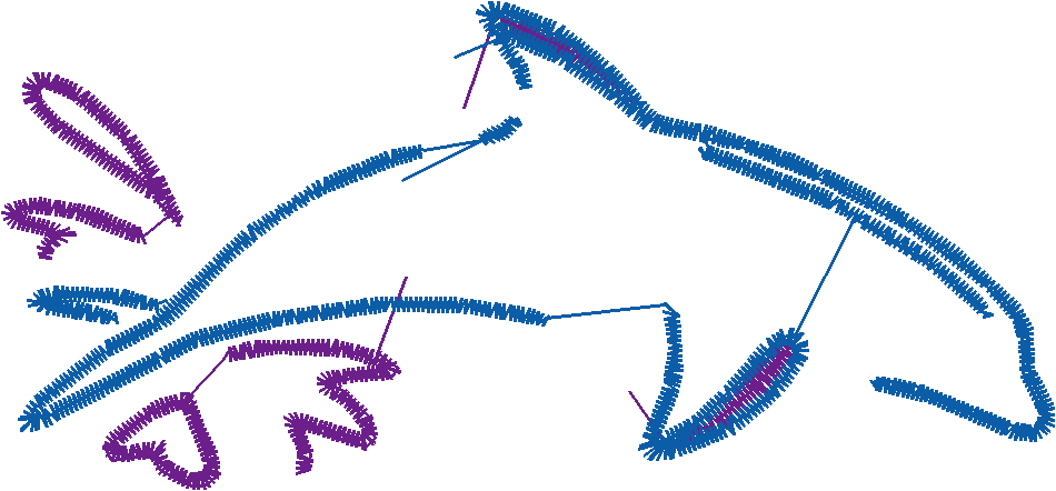 Dolphins 5  (25)