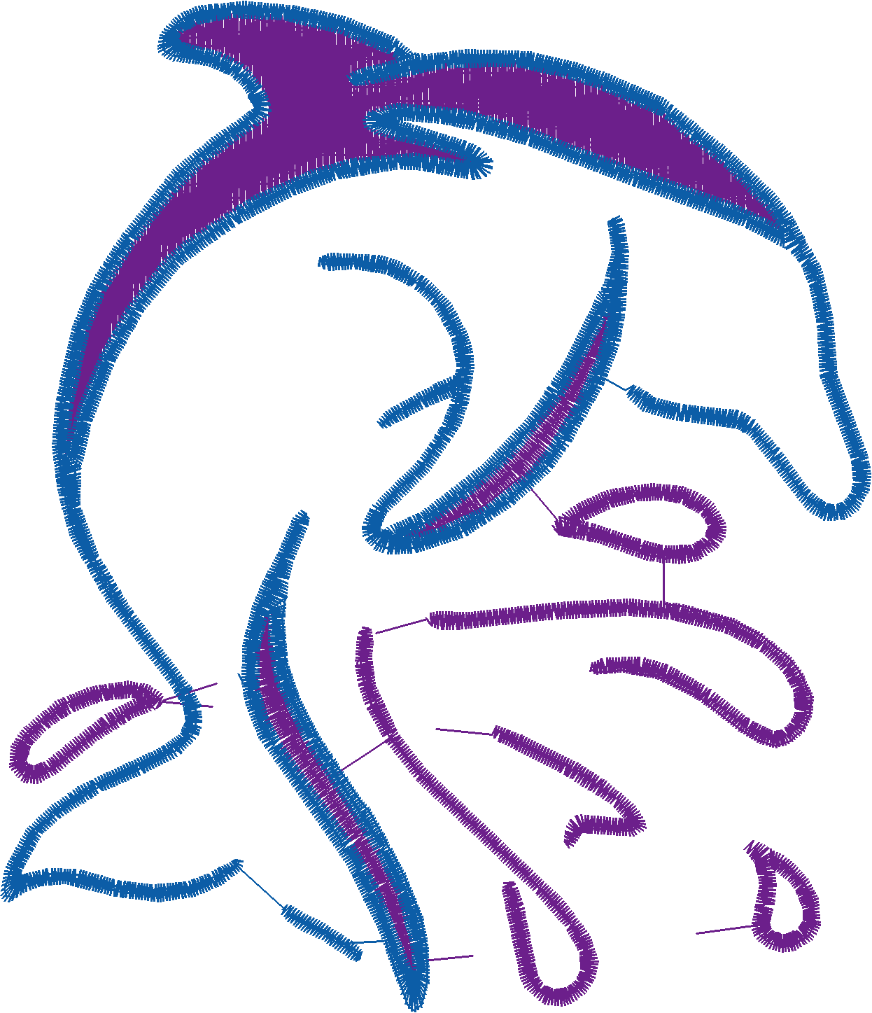 Dolphins 5  (9)