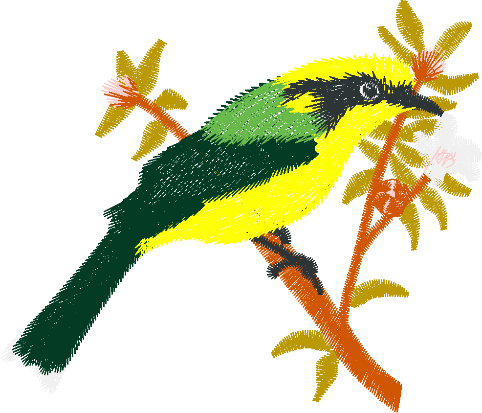 Helmetedhoneyeater