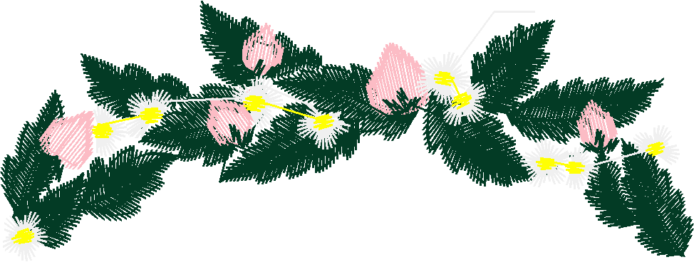 Bern008