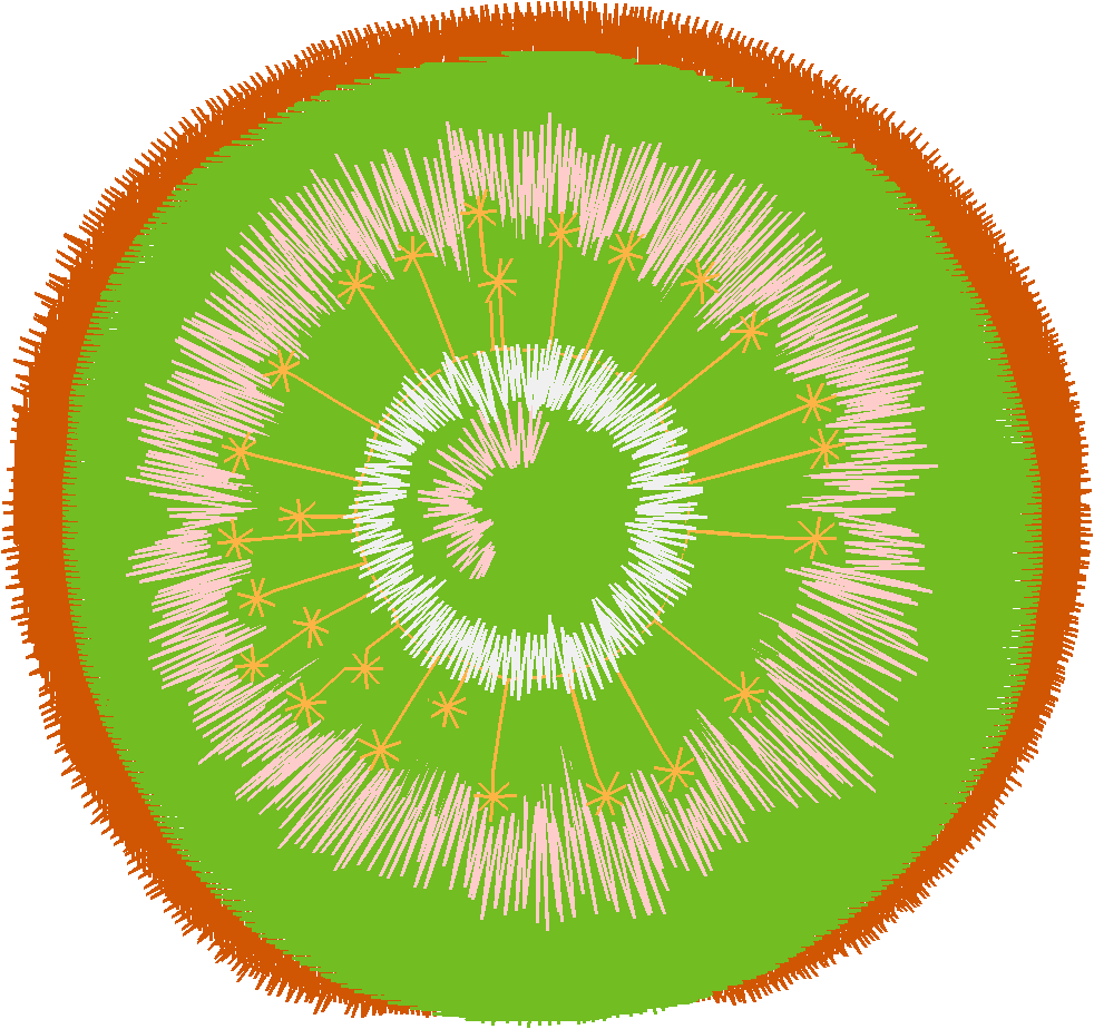 Fancy Fruit 1 (12)