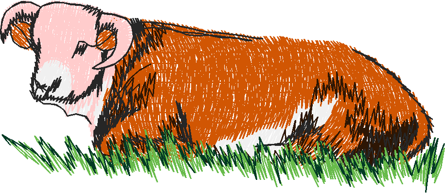 Farm Animals 5  (4)