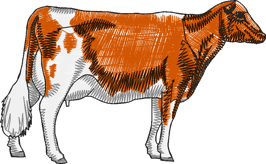 Ws143