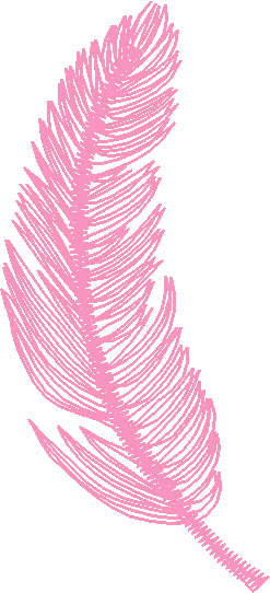 Feather6
