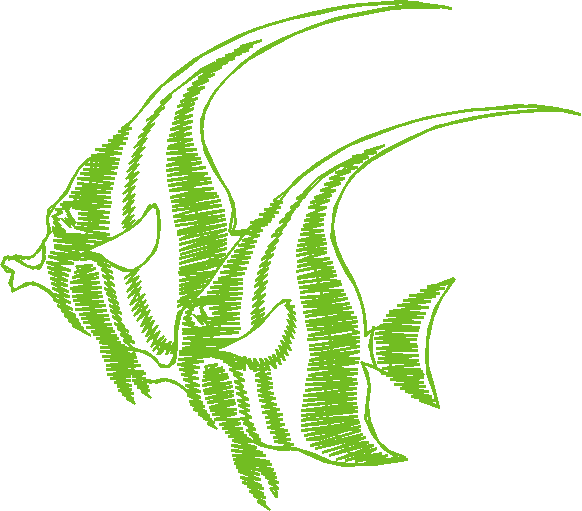 Fish 2  (10)