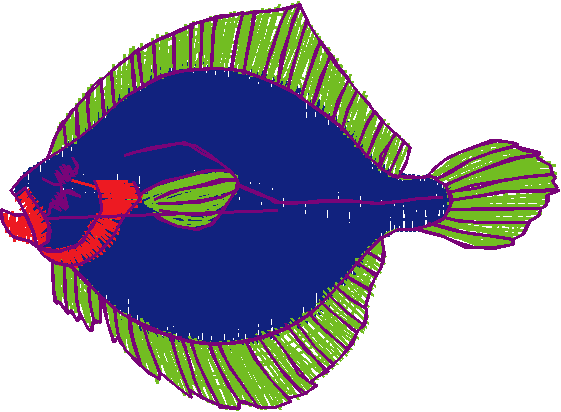 Fishy 1  (12)