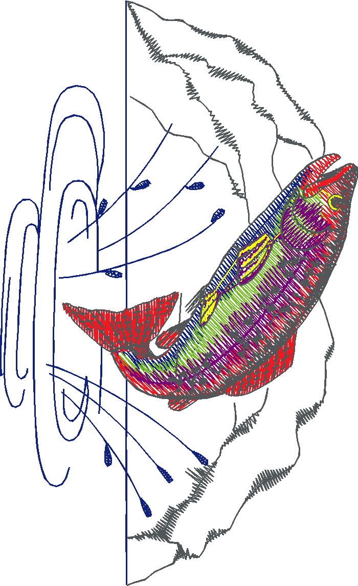 Fishy 1  (43)