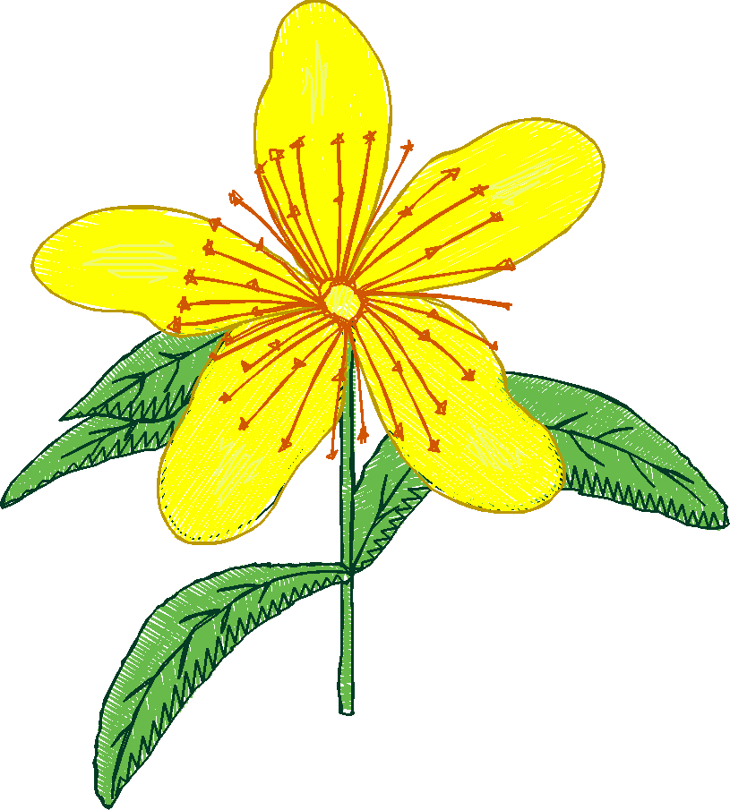 Floral 100 (13)