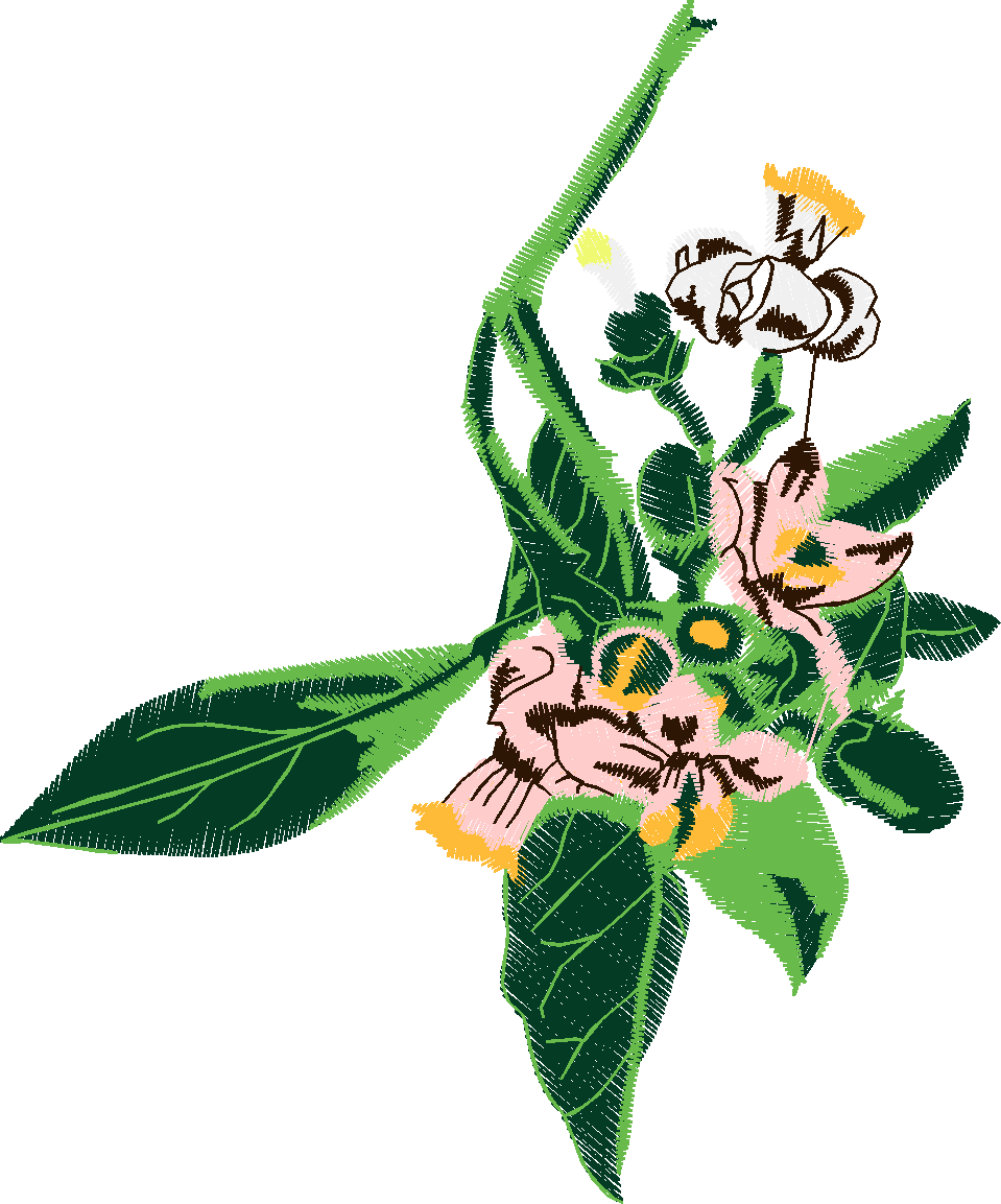 Floral 101  (10)