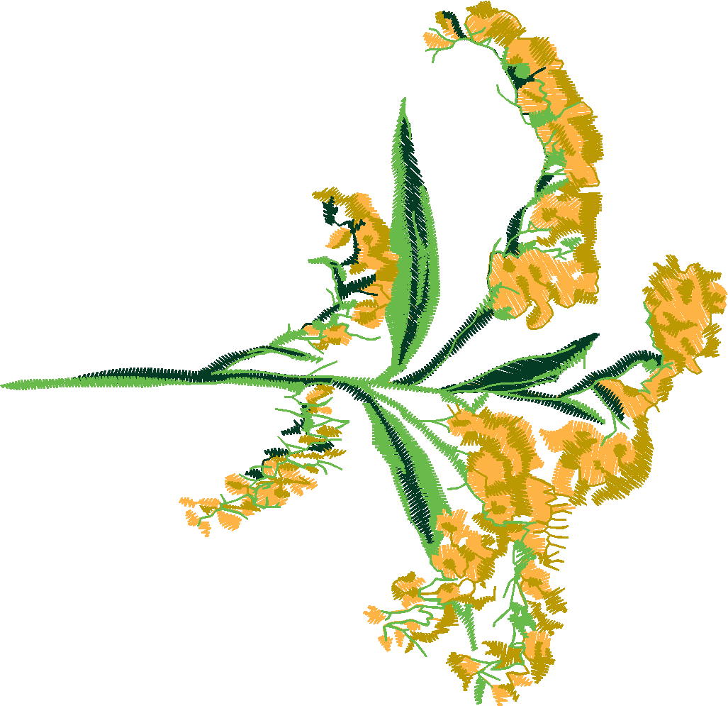Floral 101  (8)